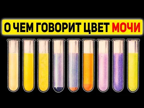 Нажми и смотри
