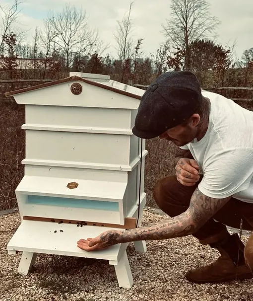 Дэвид Бекхэм