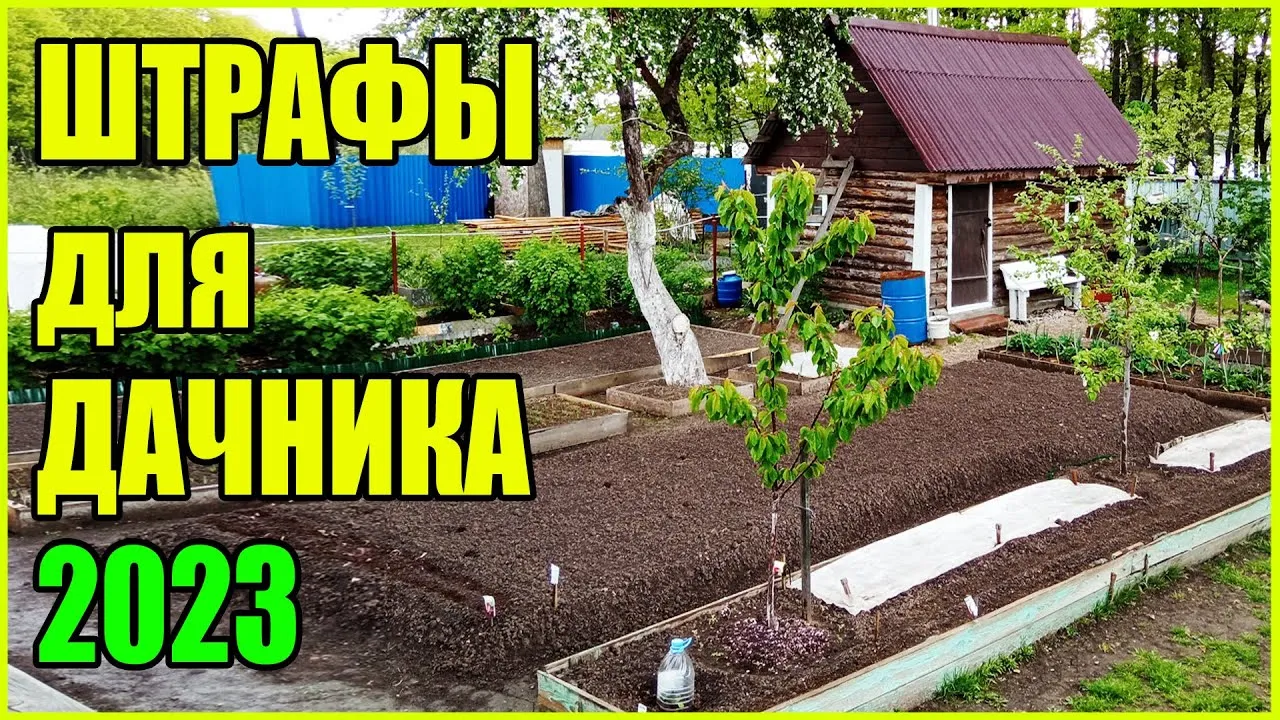 Нажми и смотри