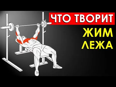 Нажми и смотри Нажми и смотри