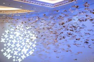 Дайджест: события, задающие стандарты в сфере косметологии и медицины