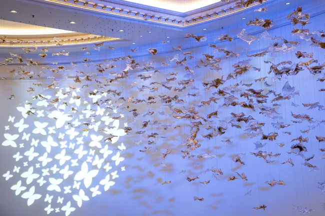 Дайджест: события, задающие стандарты в сфере косметологии и медицины