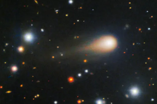 При приближении к Солнцу цвет оболочки кометы из газа и пара имел красноватый оттенок При приближении к Солнцу цвет оболочки кометы из газа и пара имел красноватый оттенок