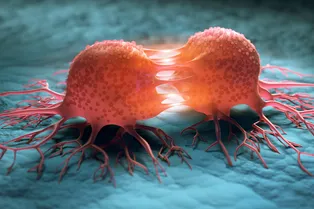 Ученые создали новый метод лечения рака Ученые создали новый метод лечения рака