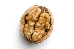 В России вывели грецкий орех, который можно легко расколоть рукой