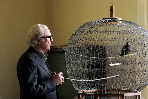 Майкл Кейн в фильме «Молодость» (2015)