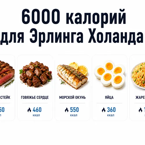 Что известно о диете Эрлинга Холанда на 6000 калорий: инфографика