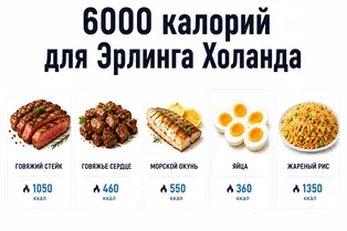 Что известно о диете Эрлинга Холанда на 6000 калорий: инфографика Что известно о диете Эрлинга Холанда на 6000 калорий: инфографика