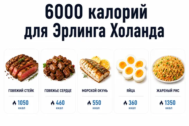 Что известно о диете Эрлинга Холанда на 6000 калорий: инфографика