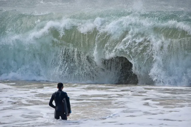 Землетрясение и цунами в Японии: в АТОР выпустили рекомендации для российских туристов