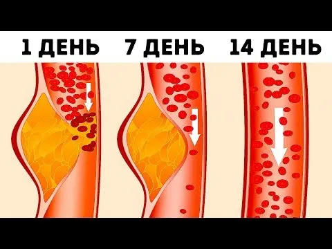 Нажми и смотри