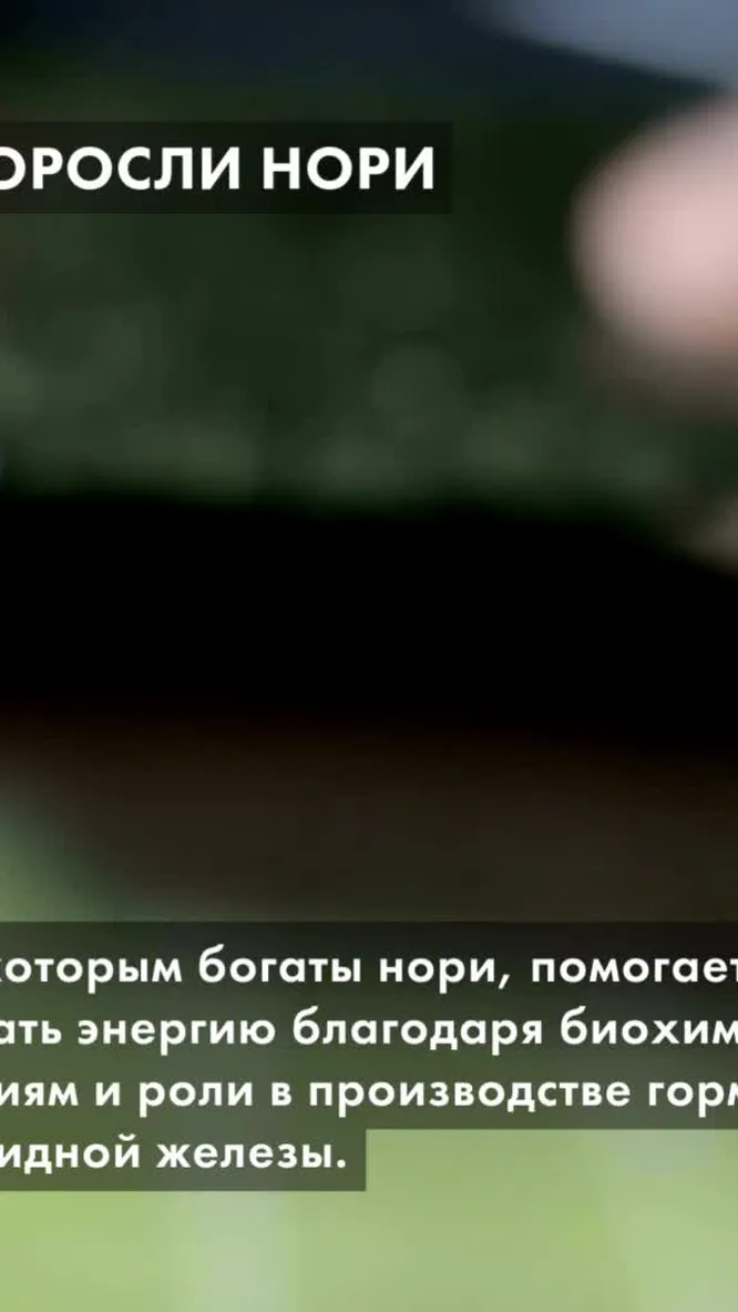 Нажми и смотри