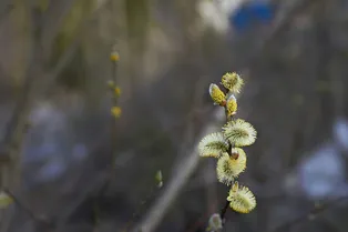 Москва пережила аномально сухой и рекордно жаркий март: такого начала весны не было 247 лет