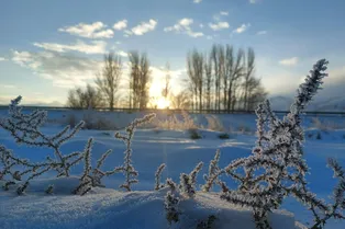Зима уже близко: когда нам ждать настоящих морозов и снега? Зима уже близко: когда нам ждать настоящих морозов и снега?