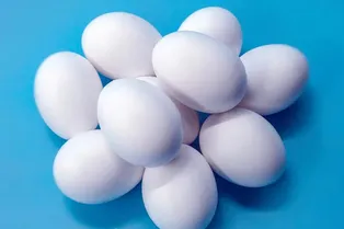Чем отличаются белые яйца от коричневых?