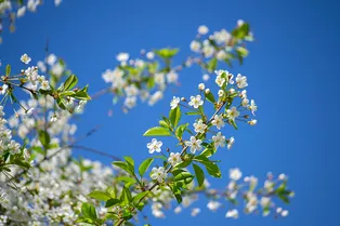 Какой будет весна в Москве? Синоптики дали прогноз на предстоящий сезон Какой будет весна в Москве? Синоптики дали прогноз на предстоящий сезон