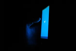 Twitter уберет Fleets — выяснилось, что их аналогом сторис не пользуются