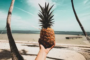 5 полезных свойств ананасов 5 полезных свойств ананасов