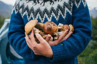 После аномальной зимы россиян ждет грибной бум: корзины будут ломиться от урожая После аномальной зимы россиян ждет грибной бум: корзины будут ломиться от урожая