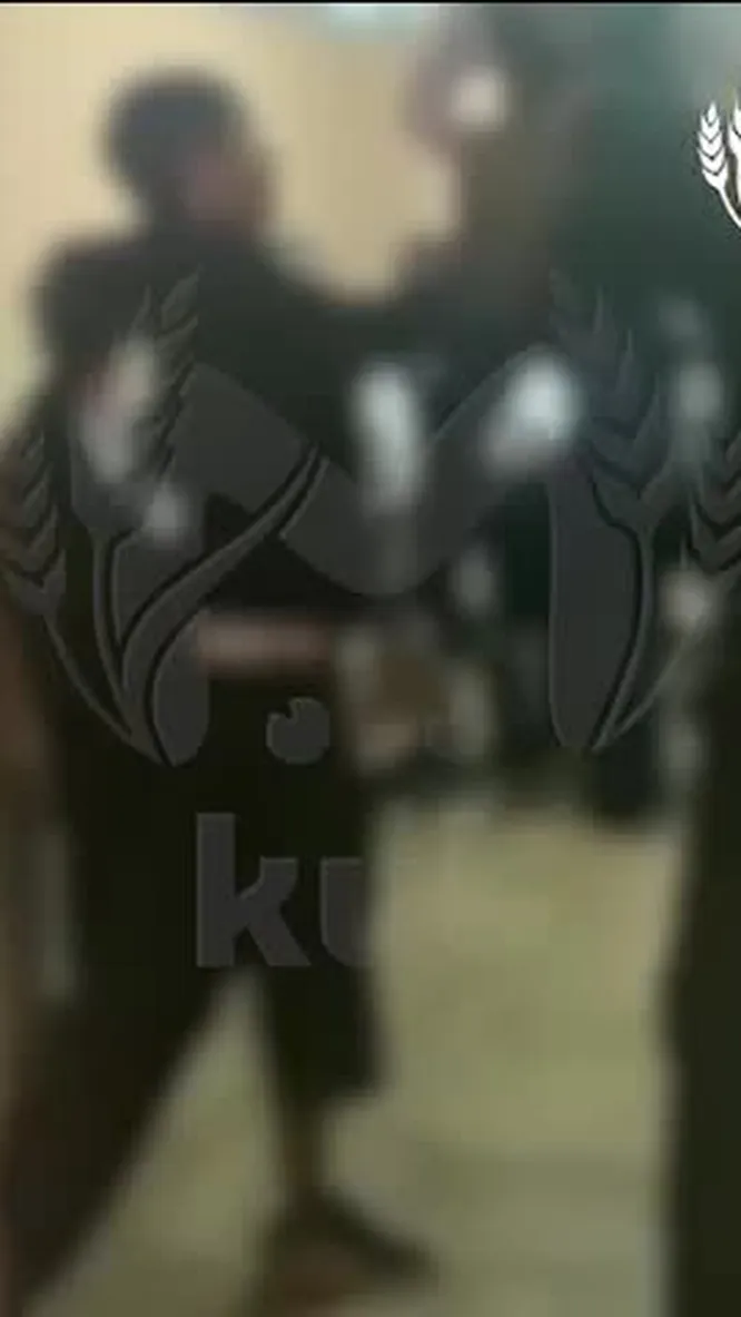 Нажми и смотри