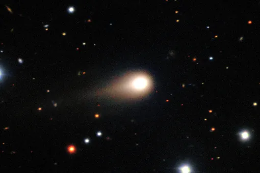 За движением кометы 3I/ATLAS пристально следят уже несколько месяцев За движением кометы 3I/ATLAS пристально следят уже несколько месяцев