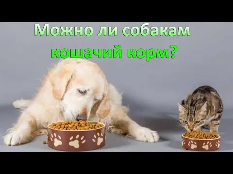 Нажми и смотри