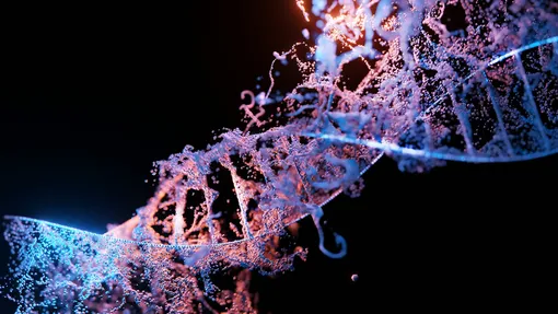 Где сегодня используется клонирование Где сегодня используется клонирование