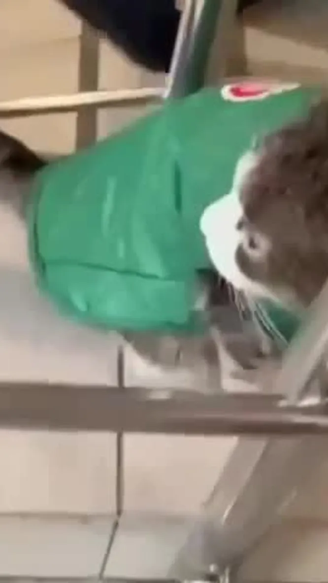 Нажми и смотри