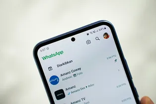WhatsApp* начал предлагать российским пользователям указать электронную почту: как обойти блокировку СМС в мессенджере