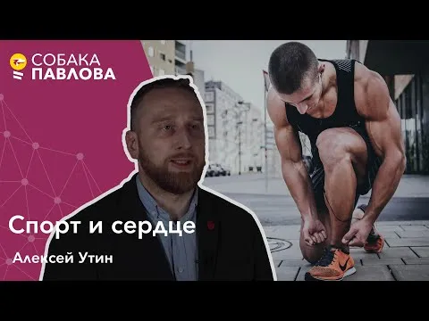 Нажми и смотри