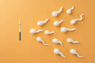 18-летний зумер заработал миллионы долларов на сперме: он устраивает «гонки сперматозоидов»