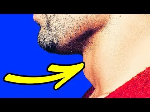 Нажми и смотри Нажми и смотри