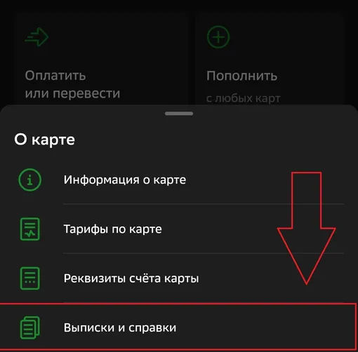 В приложении СберБанка выписку можно сделать в разделе «О карте» В приложении СберБанка выписку можно сделать в разделе «О карте»