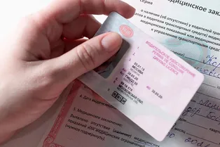 Водительские права вместо паспорта: в России расширят список документов для оформления на отдых Водительские права вместо паспорта: в России расширят список документов для оформления на отдых