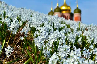 Рано обрадовались: синоптики рассказали, какой будет весна на самом деле
