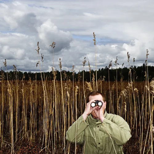 Занудное хобби, которое вас затянет: почему вам стоит заняться бердвотчингом?