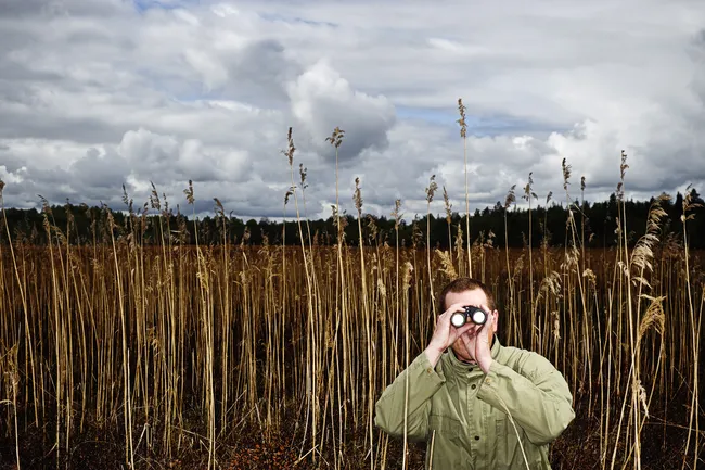 Занудное хобби, которое вас затянет: почему вам стоит заняться бердвотчингом?