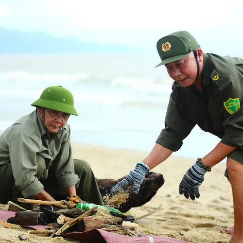 Вместо отдыха – уборка: российские туристы во Вьетнаме занимаются расчисткой пляжа после наводнения
