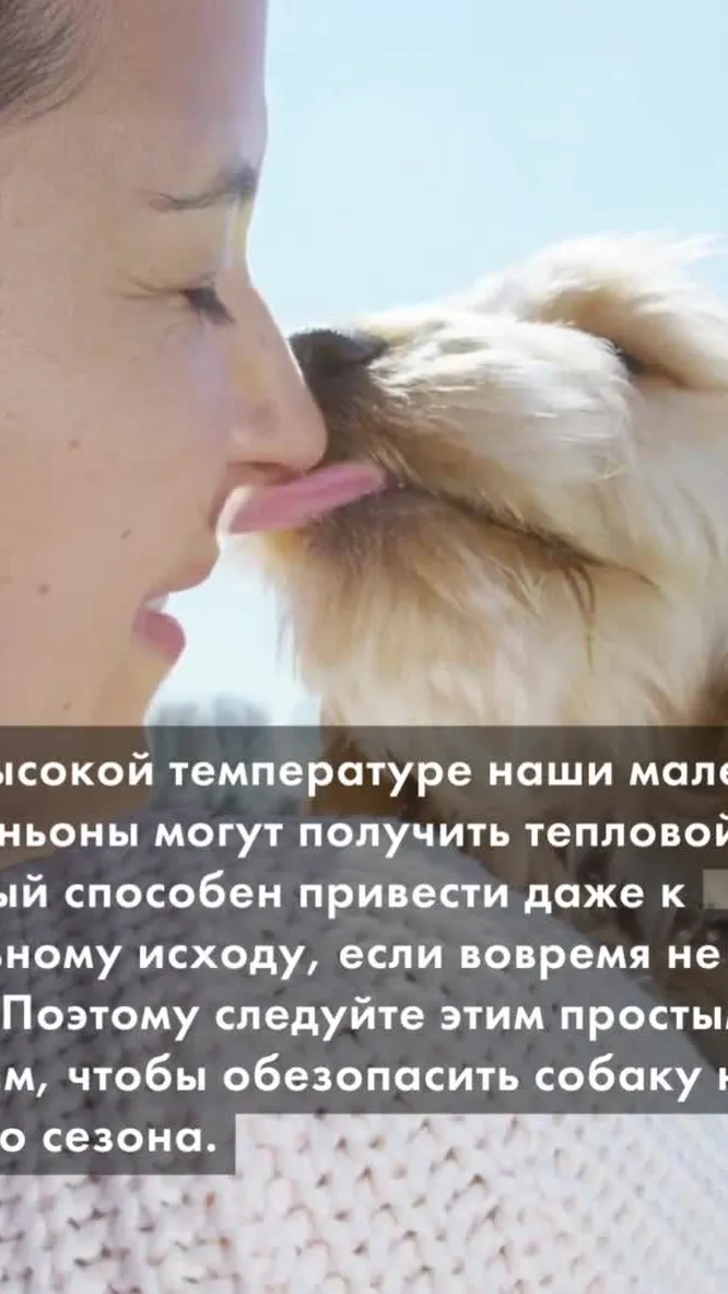 Нажми и смотри
