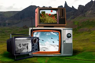 Забытые и недооцененные шедевры советского кино: от экранизации Островского до советской версии «Выжившего»