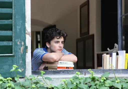 Кадр из фильма «Назови меня своим именем»(2017)