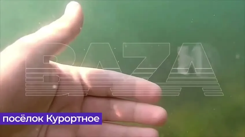 Нажми и смотри