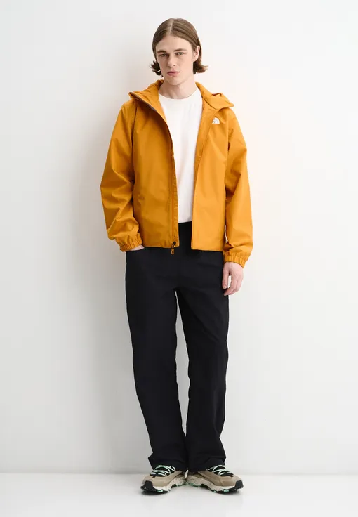 The North Face, 9989 руб. Мужские летние брюки