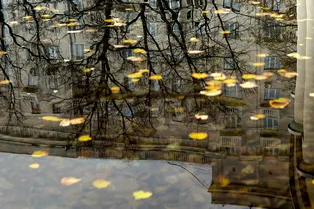 Такого еще никогда не было: осень пришла в Москву на 23 дня позже нормы