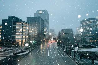 Арктические морозы и снежный апокалипсис: ученые предсказали экстремально холодную зиму в России