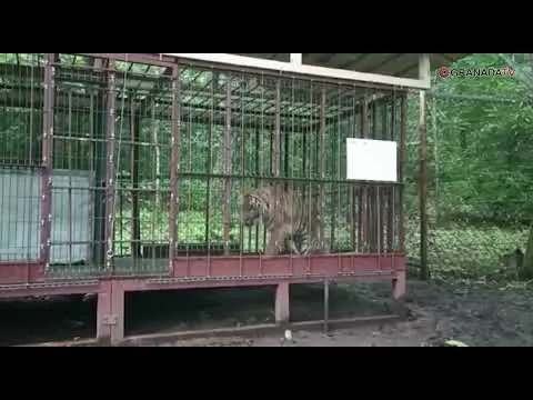 Нажми и смотри