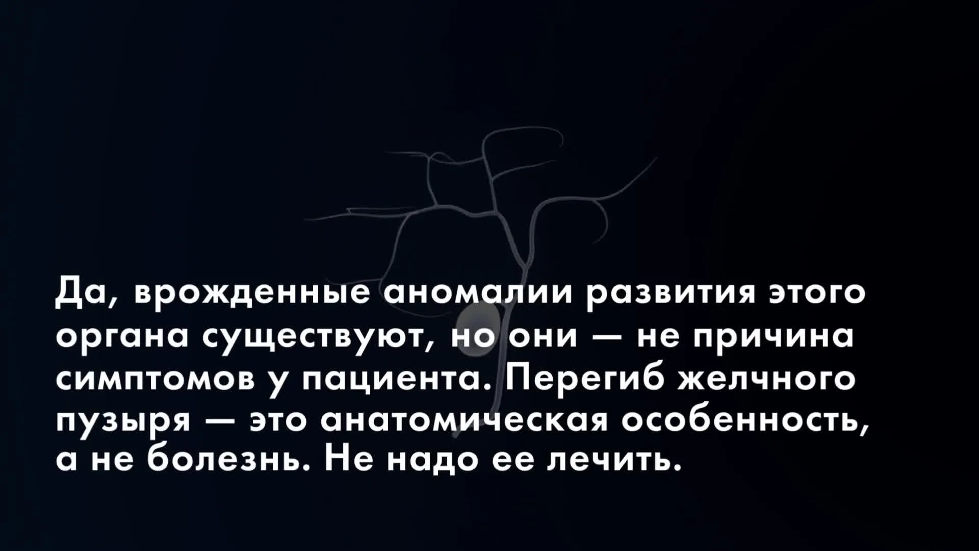 Нажми и смотри