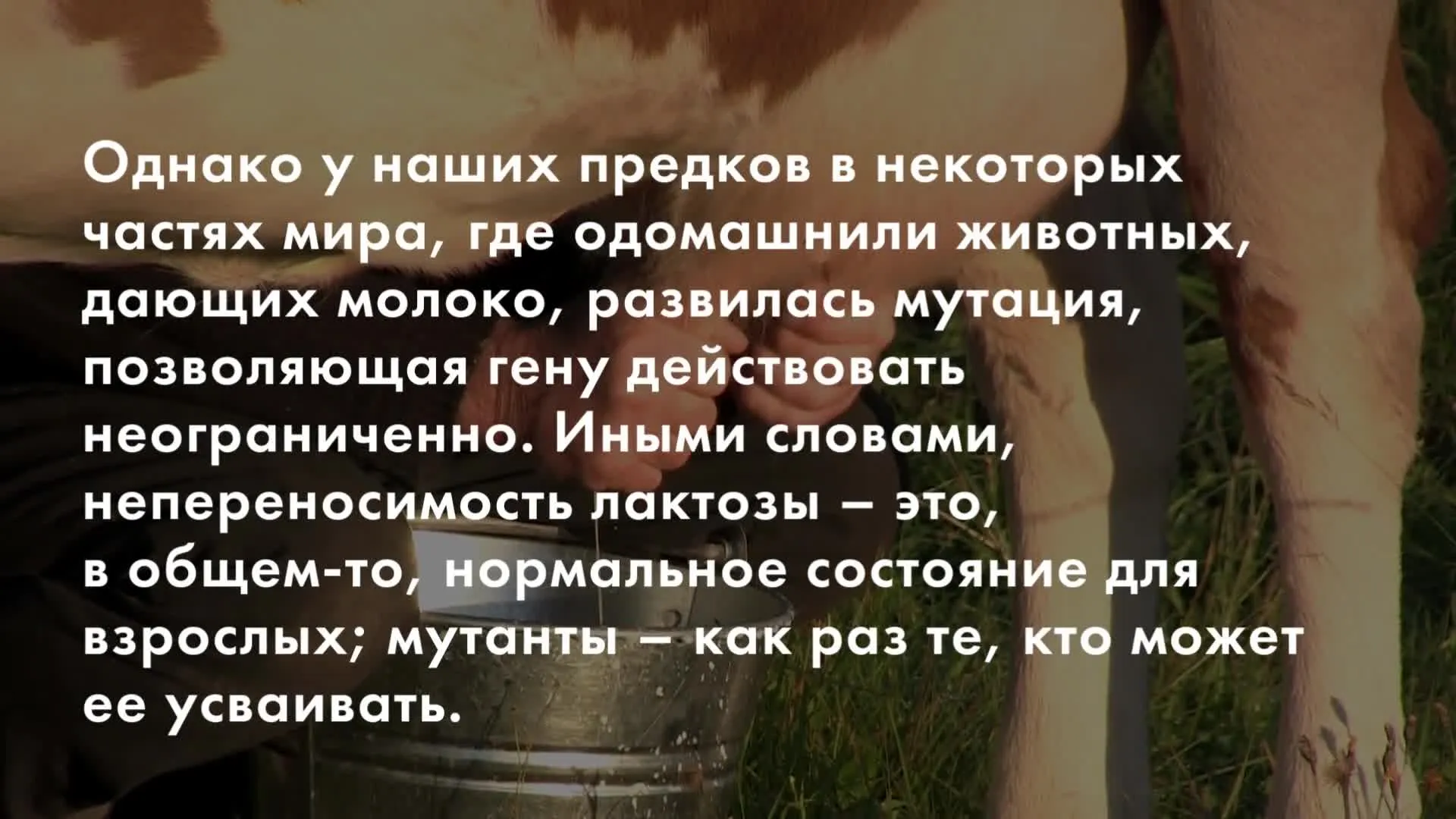 Нажми и смотри