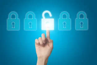 Отключение VPN в России невозможно, но пользоваться им не нужно: глава СПЧ назвал запрет VPN невозможным