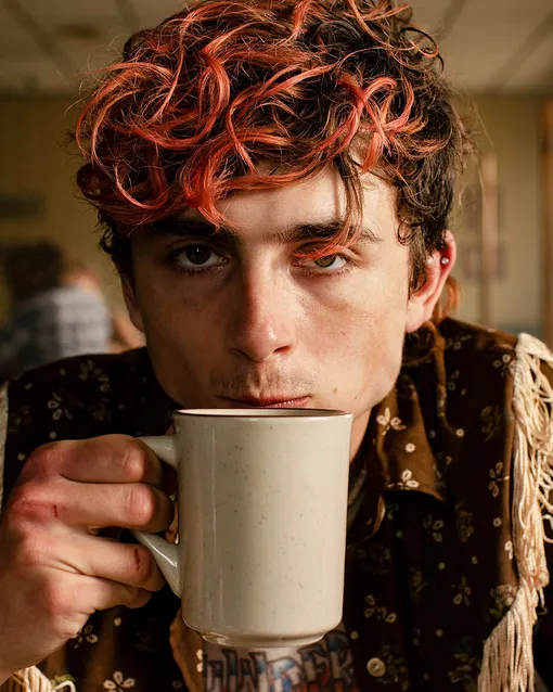 Тимоти Шаламе в фильме «Целиком и полностью» (2022)